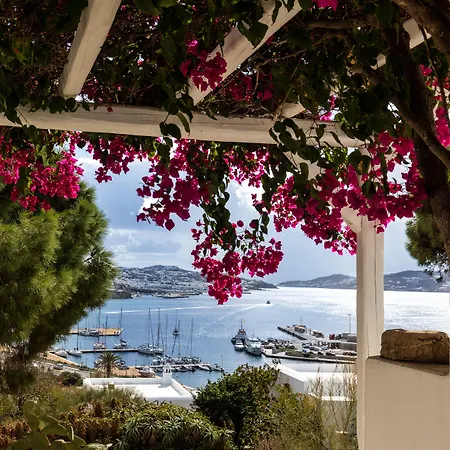 Rhenia Mykonos Hotel 4*