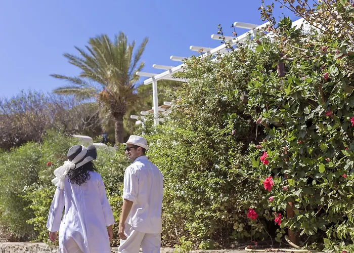 Szálloda Rhenia Mykonos