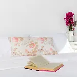 Rhenia Mykonos فندق