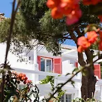 Rhenia Mykonos