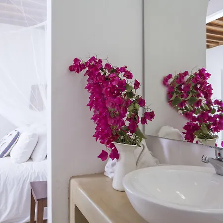 Rhenia Mykonos